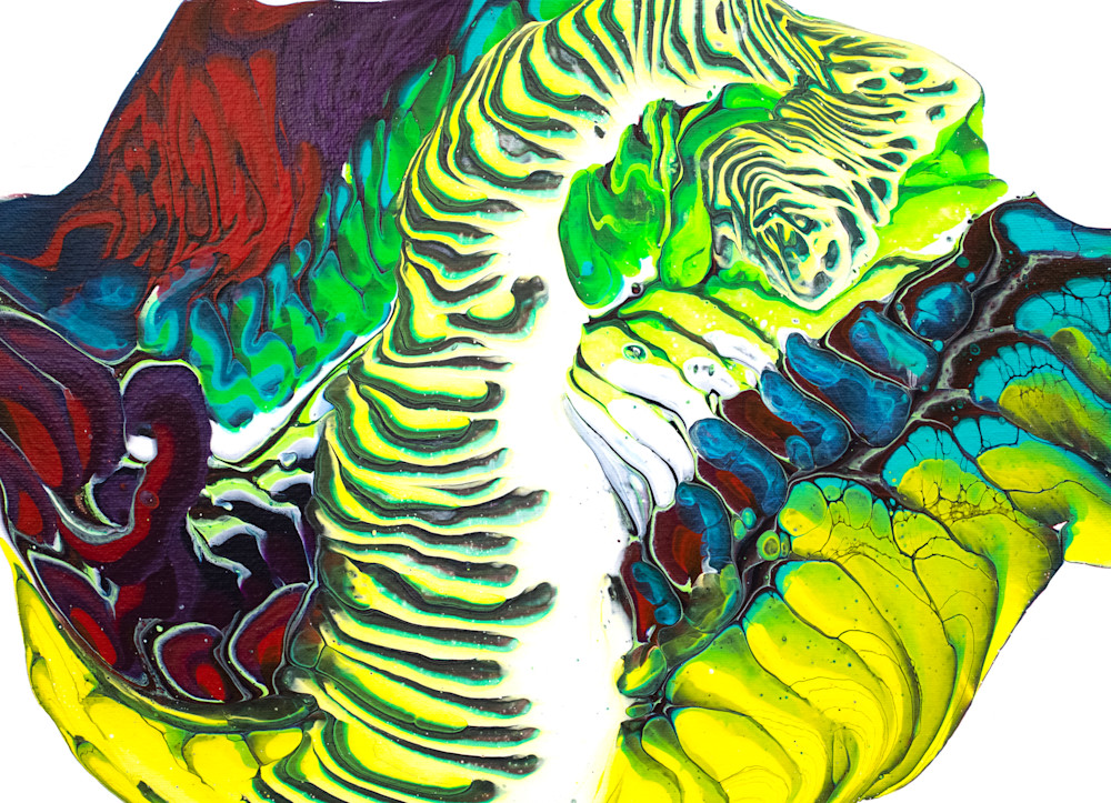 Hidden Tiger Art | Nakoah Waters Studios LLC