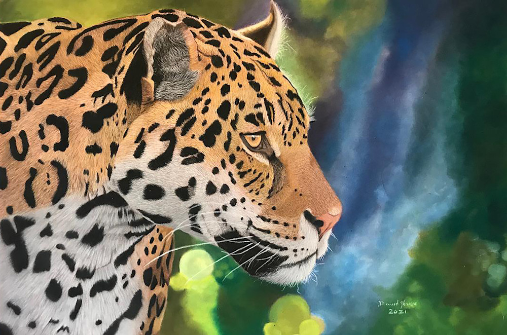 Fierce   Jaguar  Art | davenevue