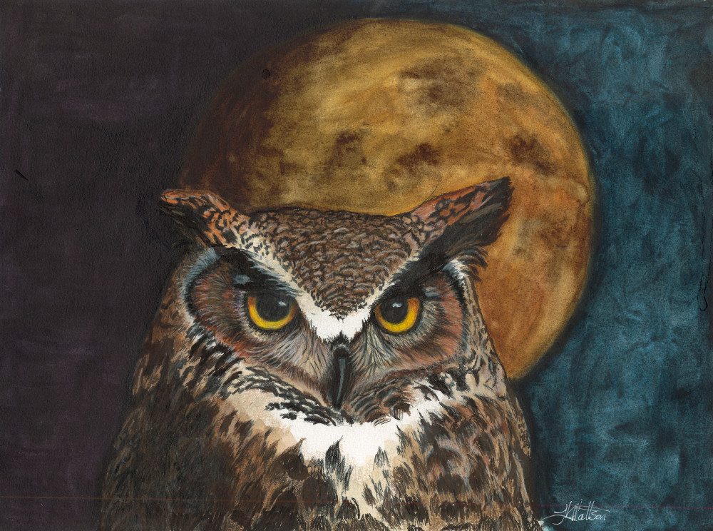 Full Moon Owl Art | lynneamattson