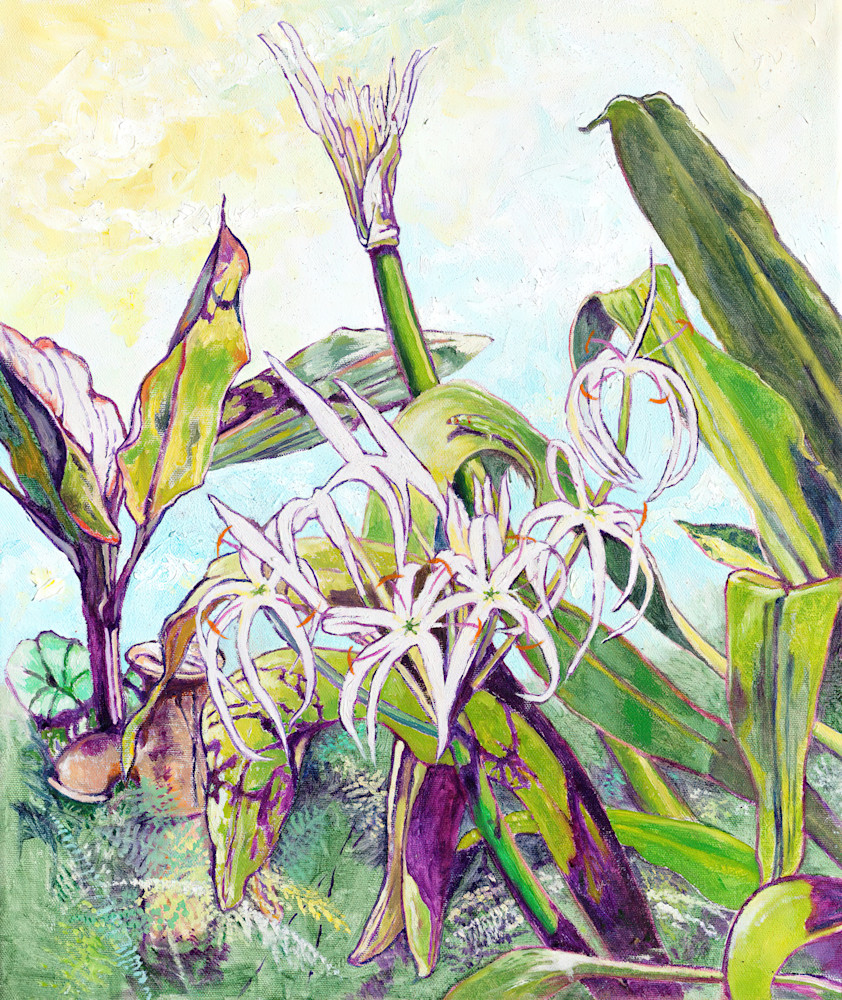 Spider Lilies Art | Hank Taufaasau Art