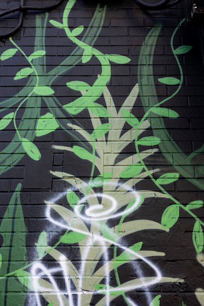 Painted Jungle Photography Art | Caylena Cahill Creative