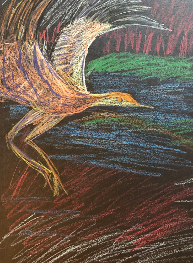 Heron In Flight Art | dianawoody