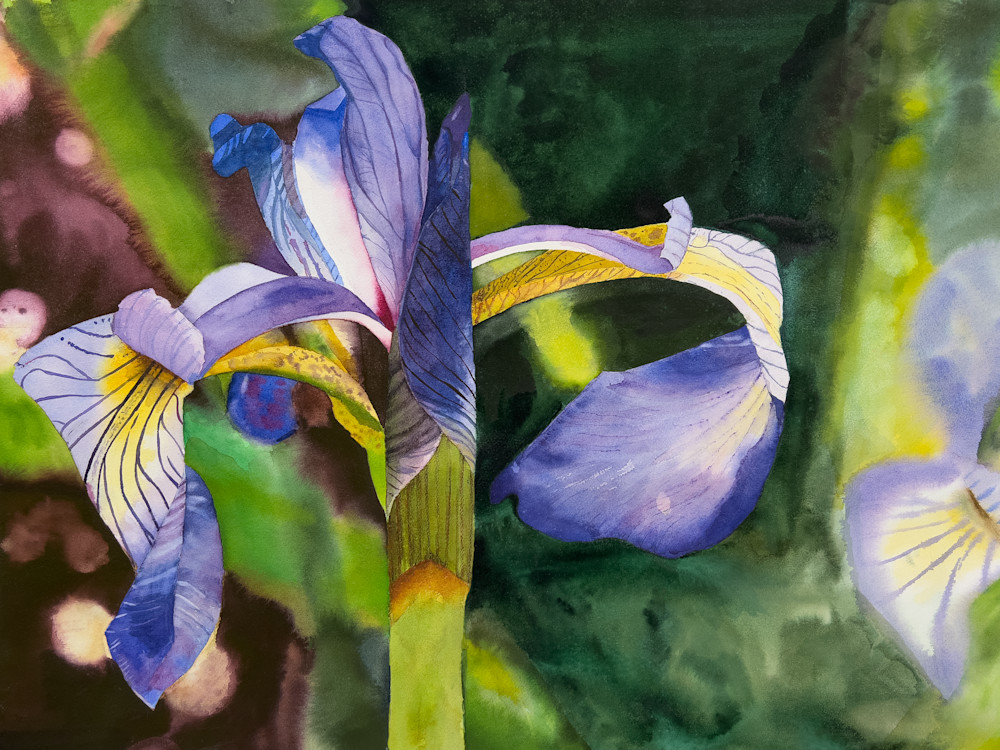 Graceful Iris Art | Roann Mathias