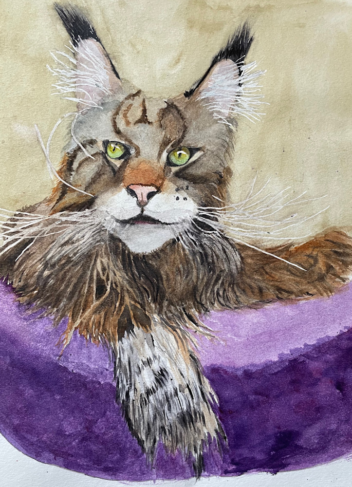 Main Coon Adult Cat Art | lynneamattson