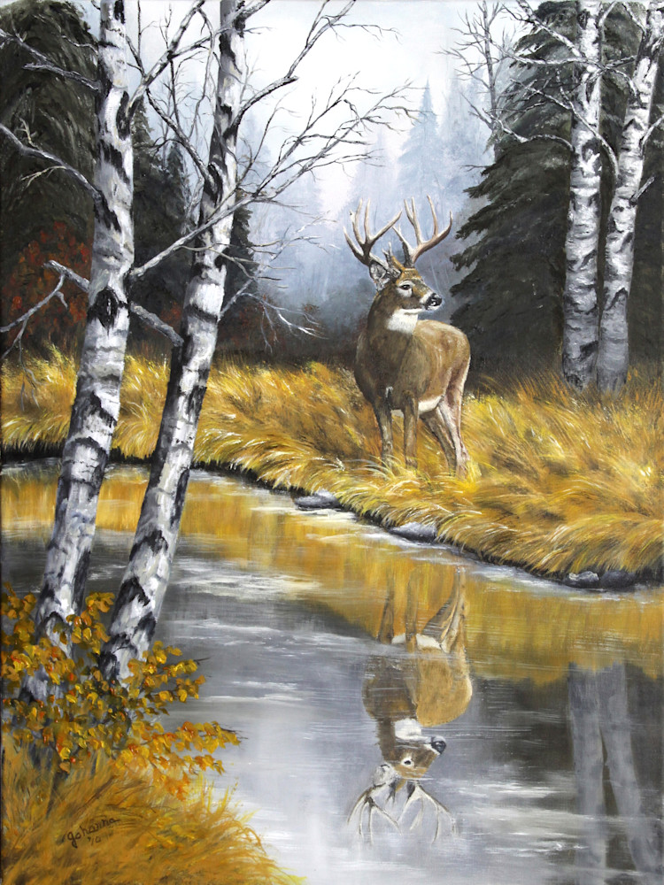 Buck Reflection Art | Johanna Lerwick Wildlife Artist