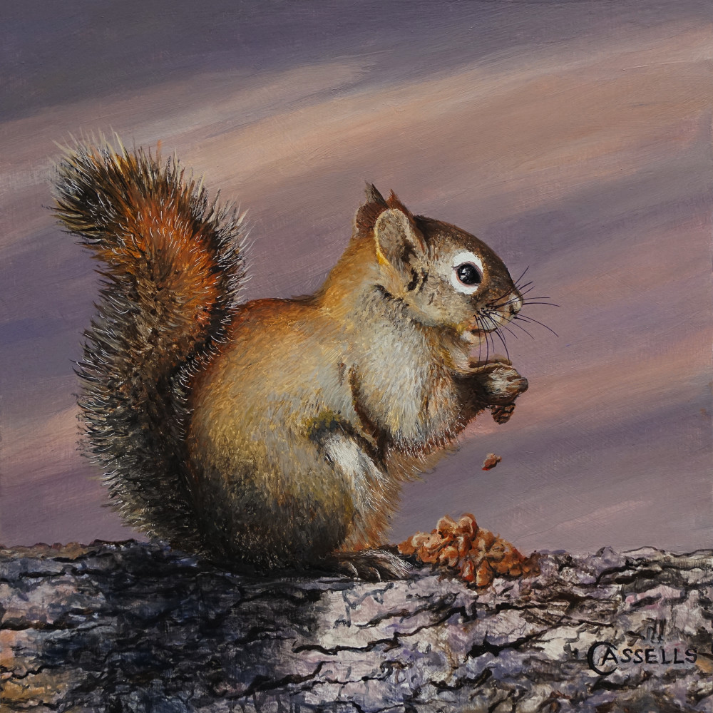 Spruce Cone Supper   Grey Squirrel Art | Laara Cassells