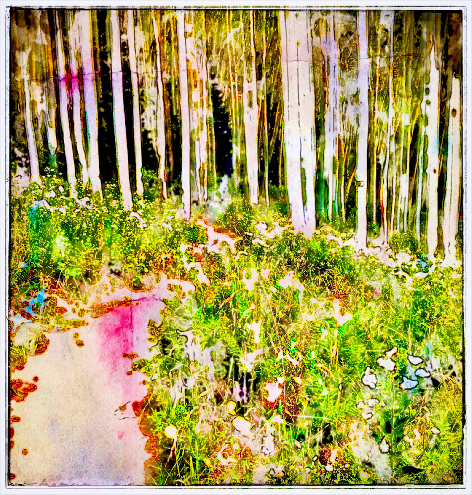 Into The Woods Art | photographicsart