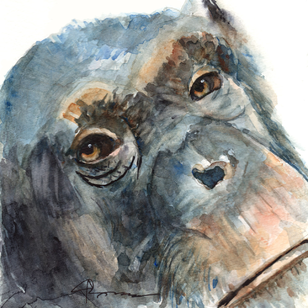 Chimp Watercolor Print | Claudia Hafner Watercolor