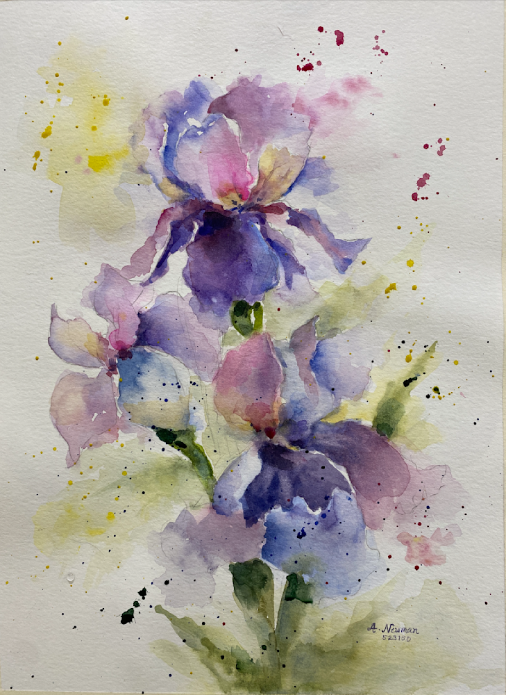 Splash Purple Iris Art | Arlene Newman Designs