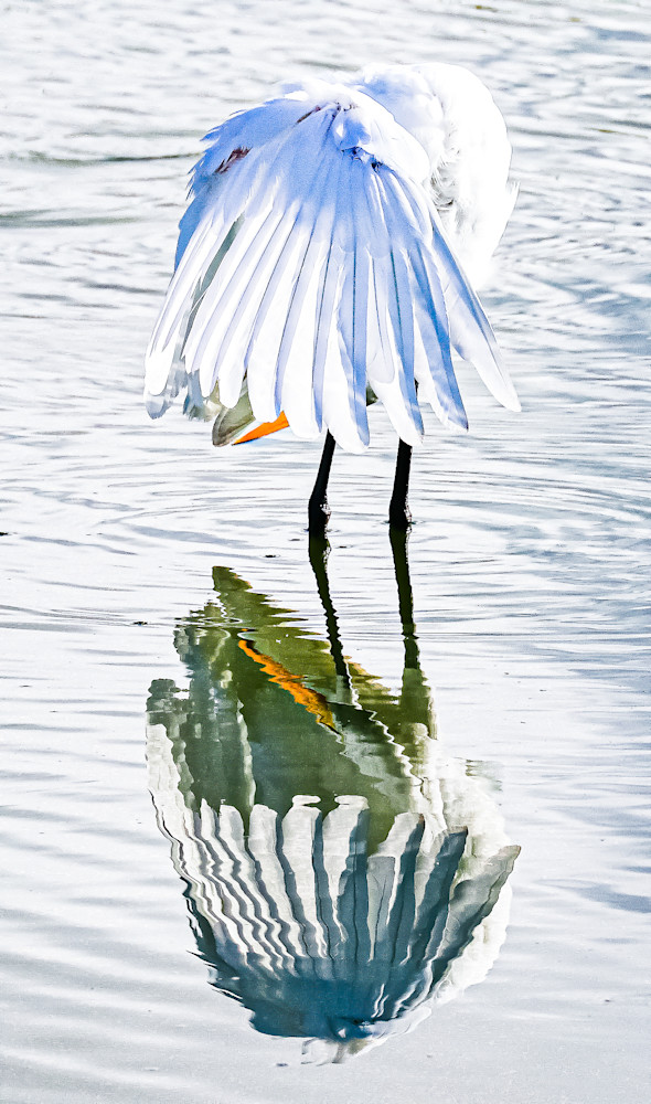 Reflection Photography Art | Mary Goldsmith Photography