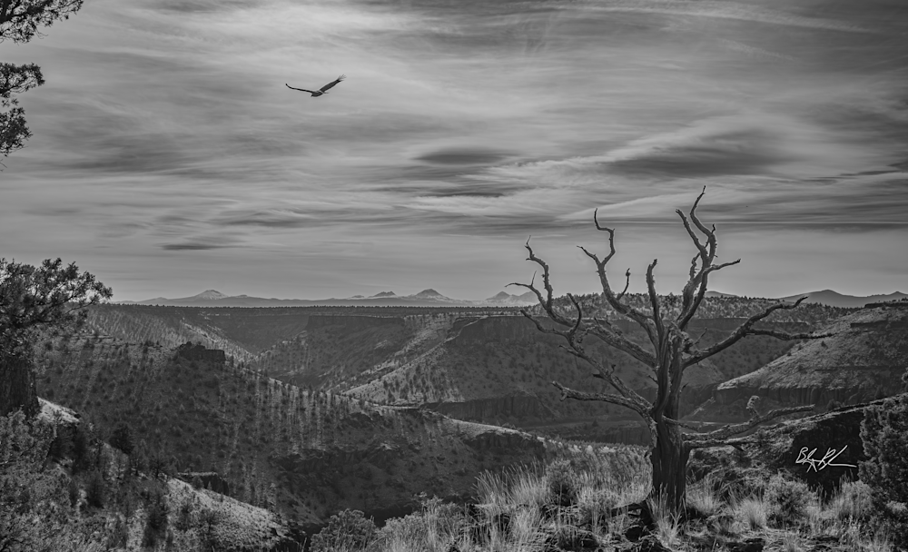 Central Oregon High Desert Black and White Photograph for Sale as Fine Art