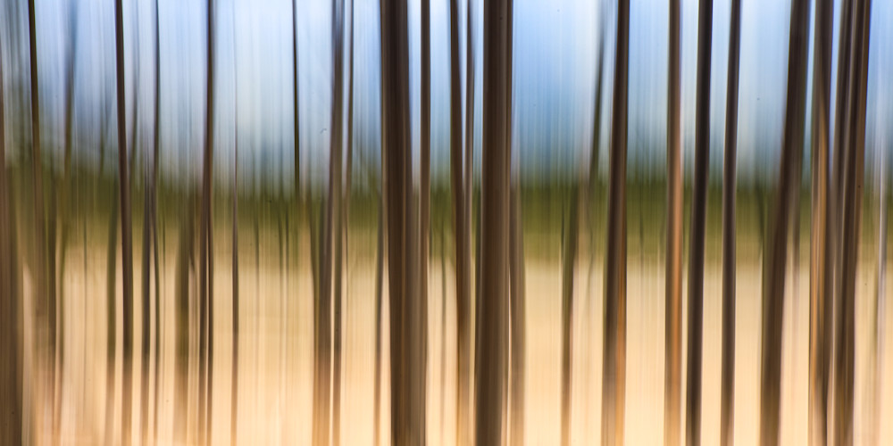 Yellowstone Brushstrokes Photography Art | Amber Louise Photography