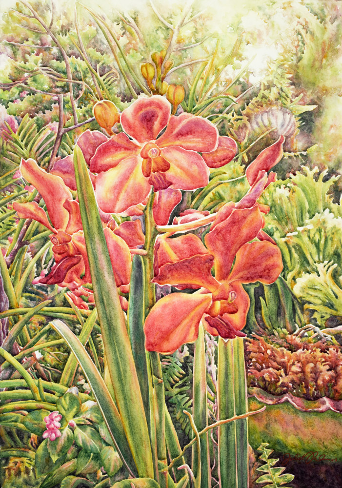 Flamboyant Orchid Art | Juliet Thorburn
