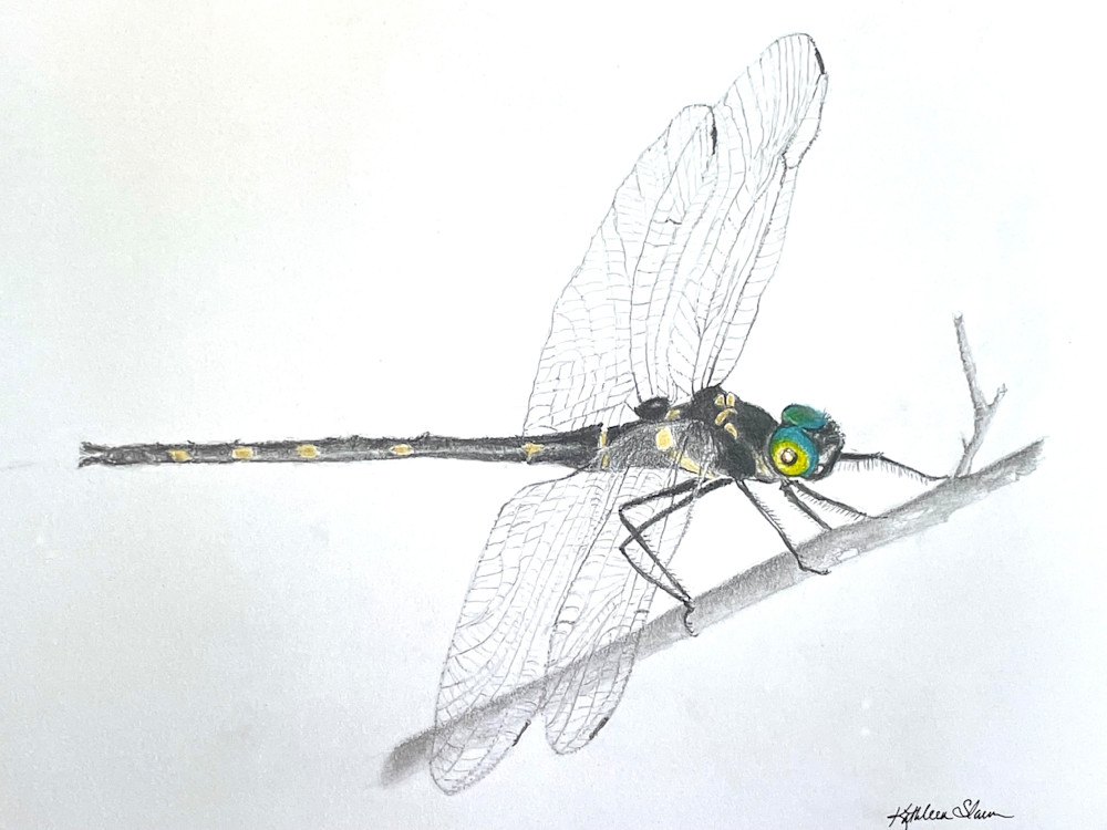 Dragonfly Visitation  Art | Kathleen Slaven Art