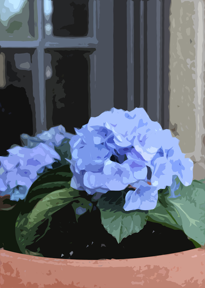 Potted Hydrangea Art | IN the Moment Creative