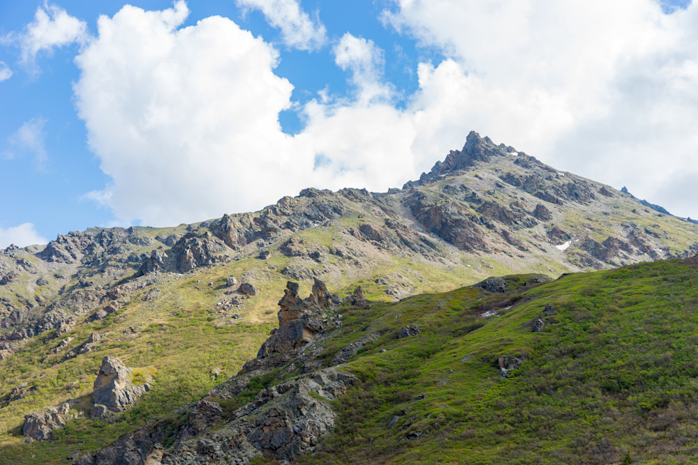 Green Grass And Jagged Rocks Mount Denali National Park Photography Art | Camera J Studio