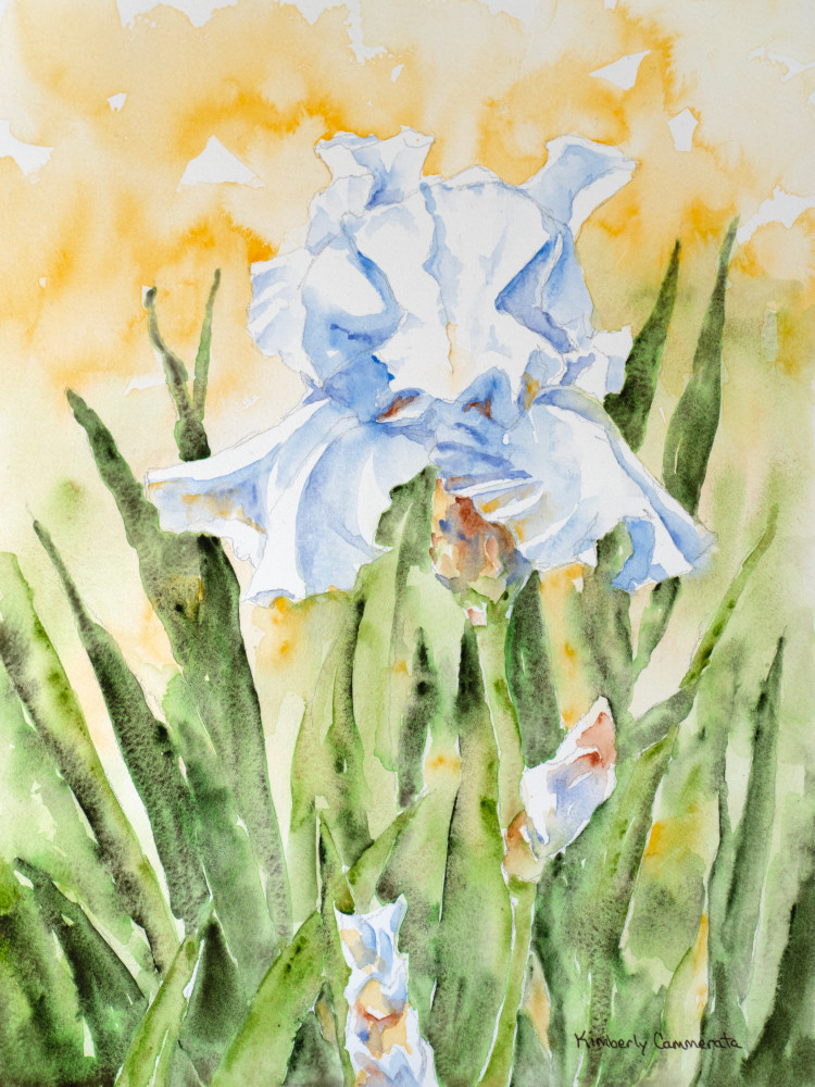 Iris, Firenze Cinque Art | Kimberly Cammerata - Watercolors of the Sun: Paintings of Italy