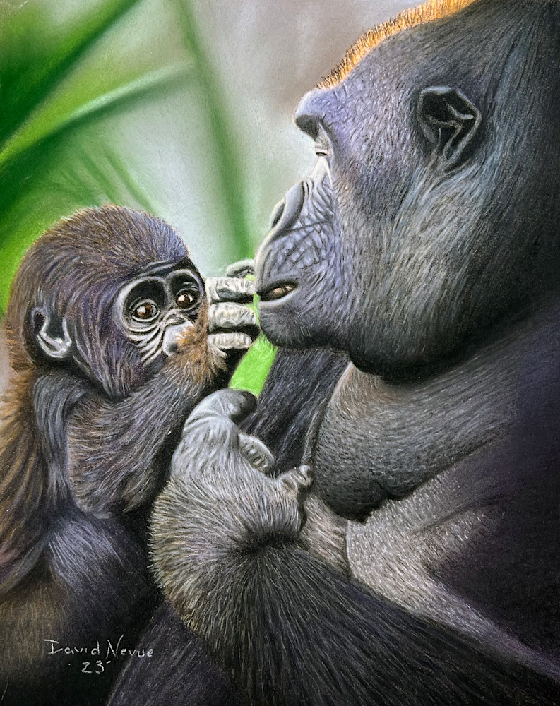 Buttons And Buttercup Mother And Baby Gorilla  Art | davenevue