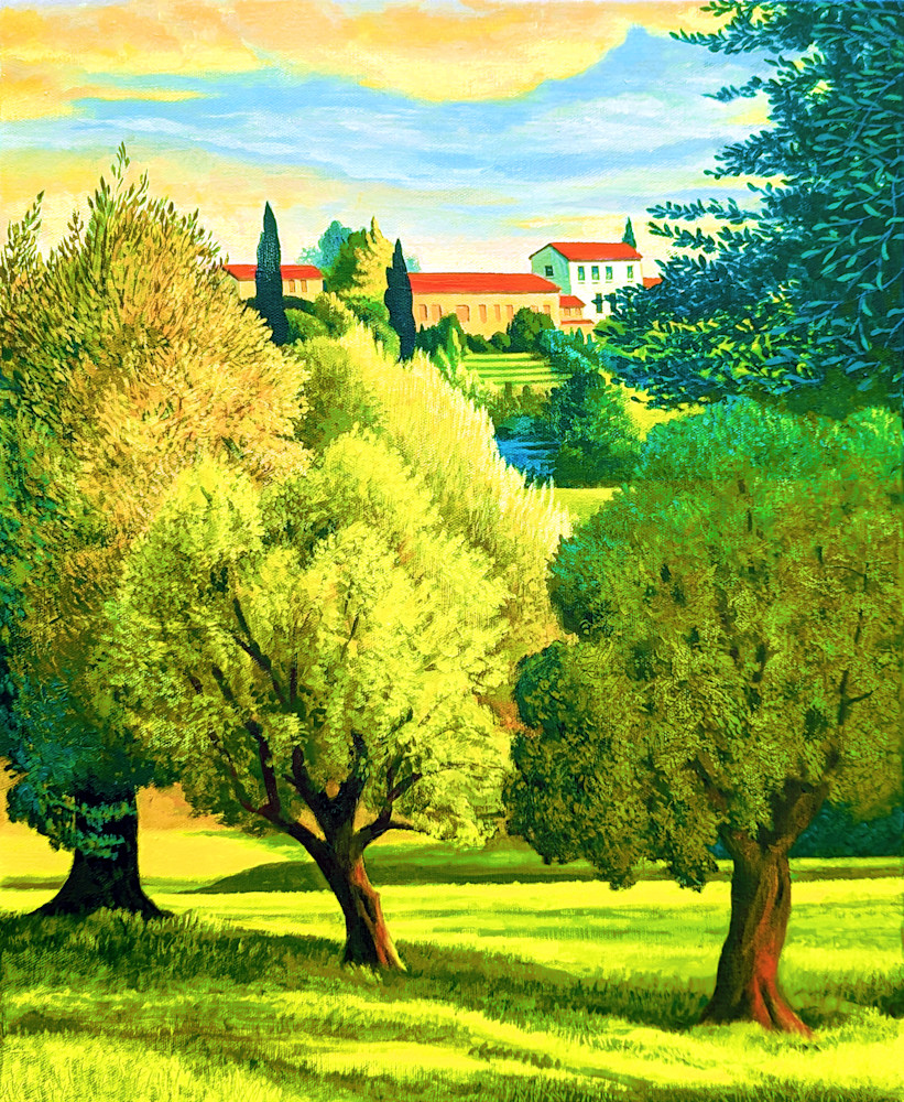 Olive Trees (Evening In Impruneta, Tuscany) Art | Alan Falk Art
