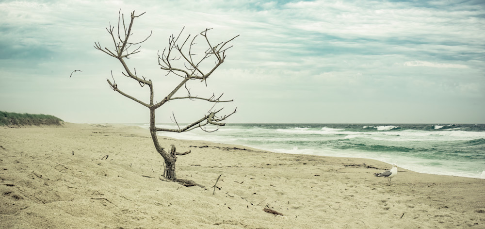 Cisco Beach Photography Art | Brian White Photography & Art