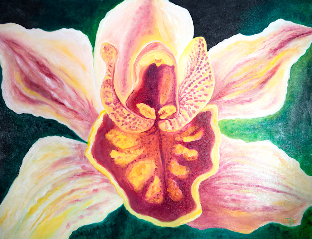 Orchid Cymbidium Art | Joanna Gabler Art