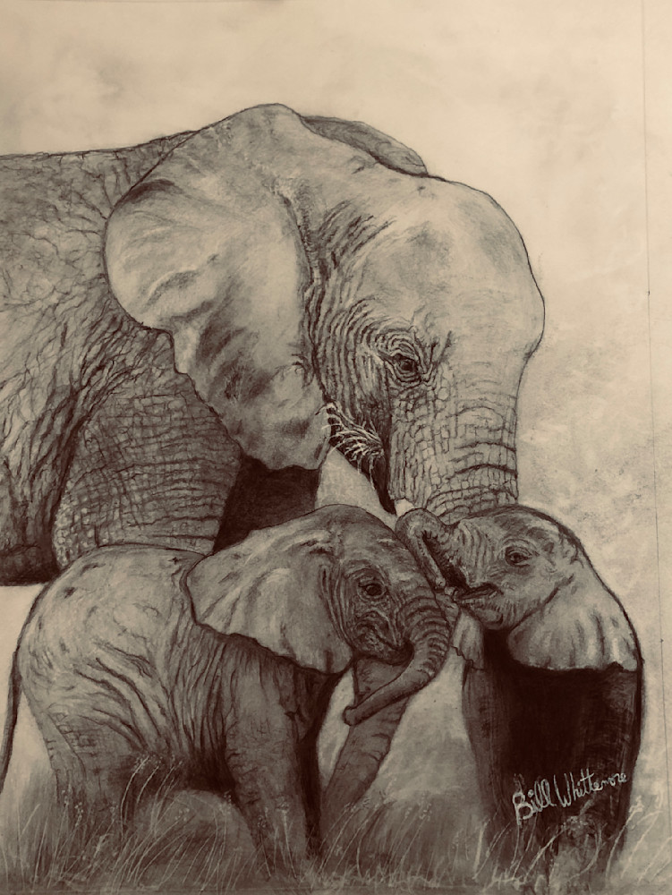 Mamma Elephant And 2 Babies Art | Bill Whittemore Art
