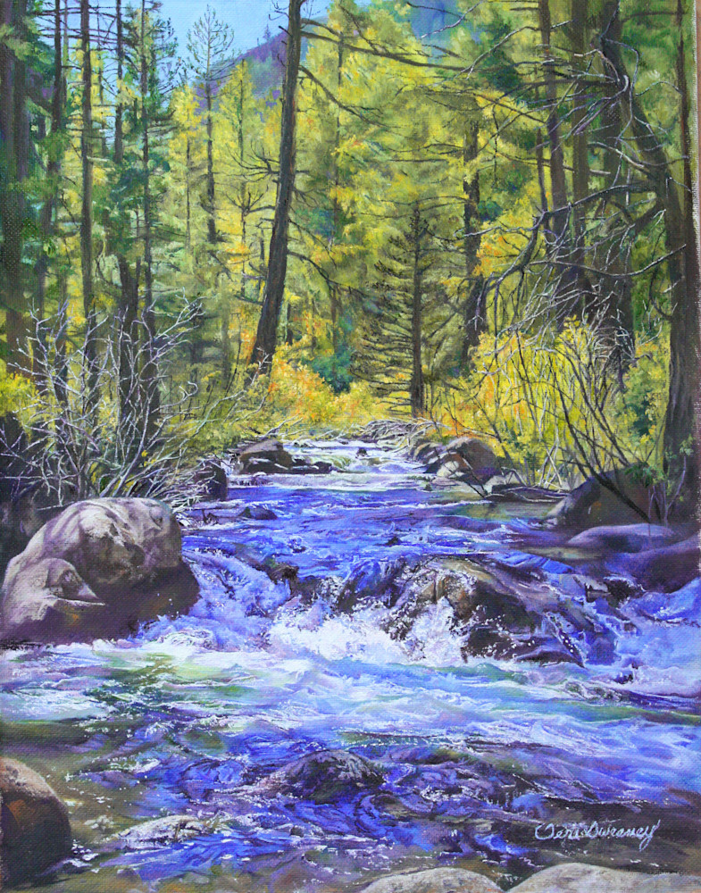Carson River Cascade Art | Teri Sweeney Art
