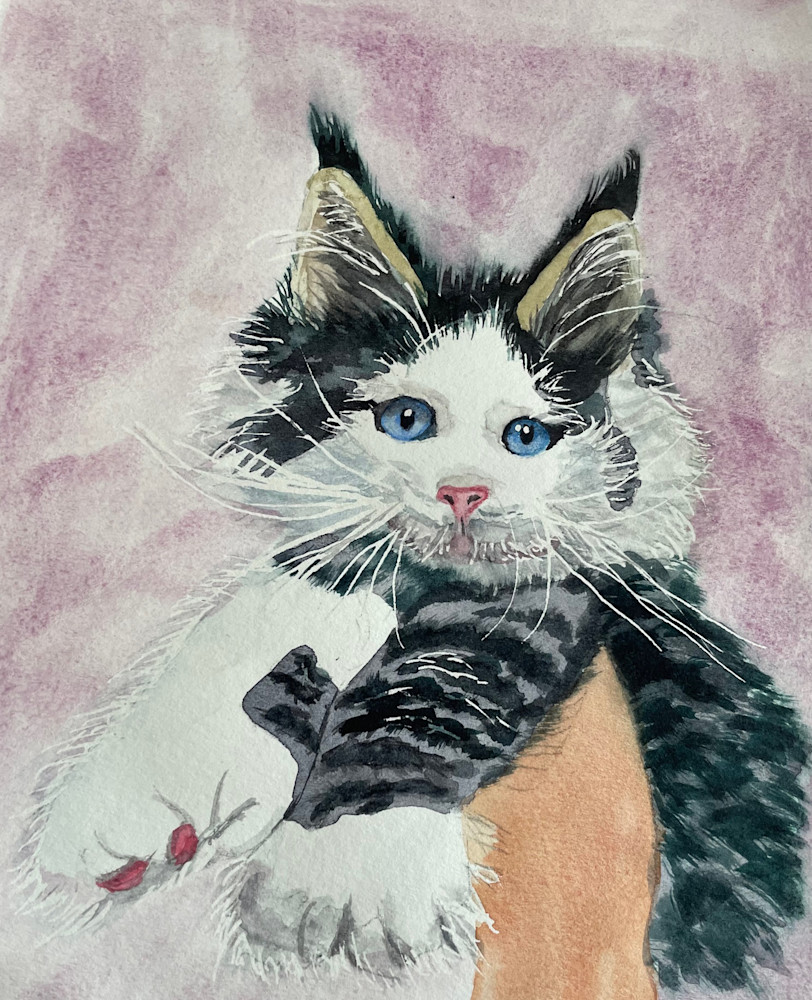 Sweet Blue Eyed Kitten Art | lynneamattson