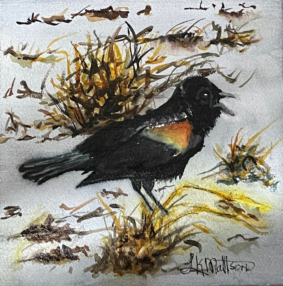 Red Wing Black Bird Art | lynneamattson