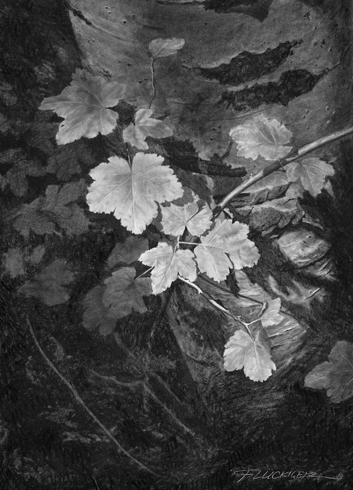 Black and white fine art print beautiful landscape of artwork titled Amity