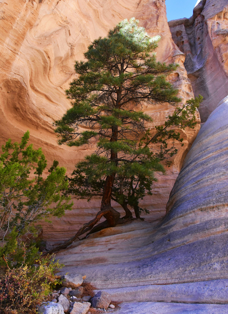 Tent Rocks Nm Art | Ruth Westreich 