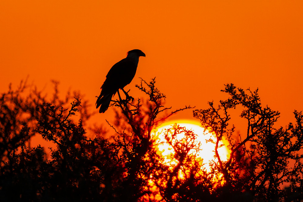 "A South Texas Sunset" Photography Art | D. Robert Franz Photography