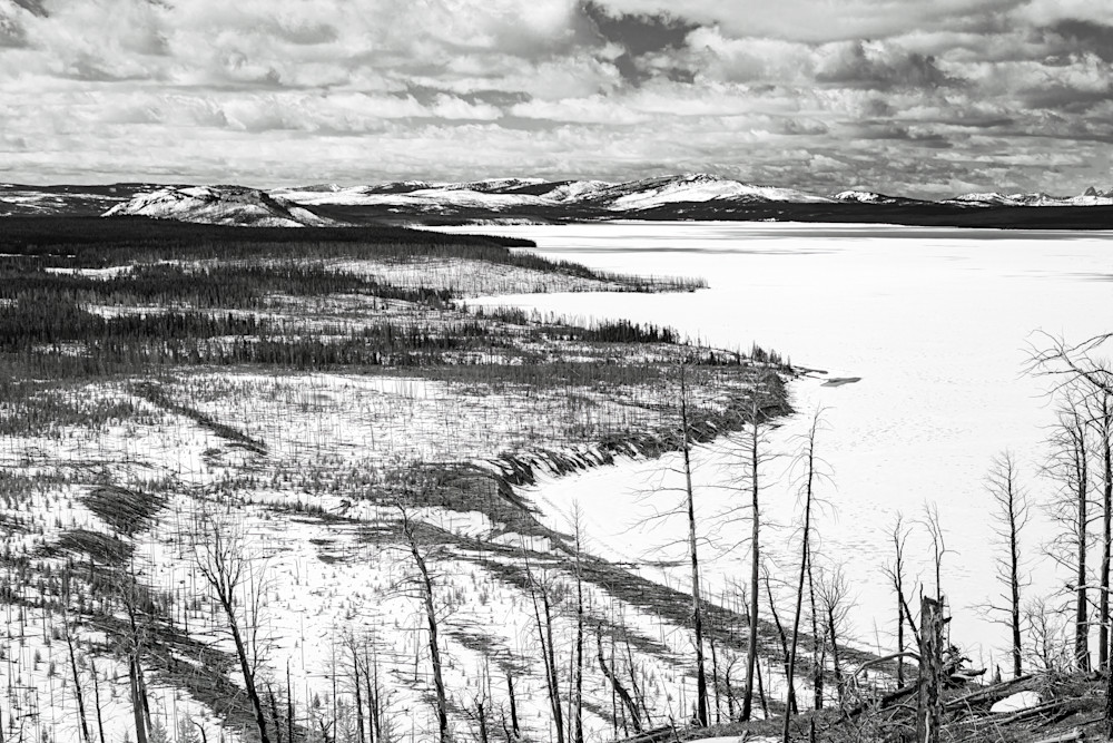 Tco   Winding East Shore Yellowstone Lake B&W  Art | Open Range Images
