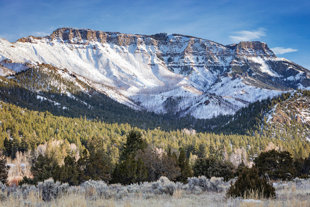 Tco   Clayton Mt. Spring Snow Art | Open Range Images