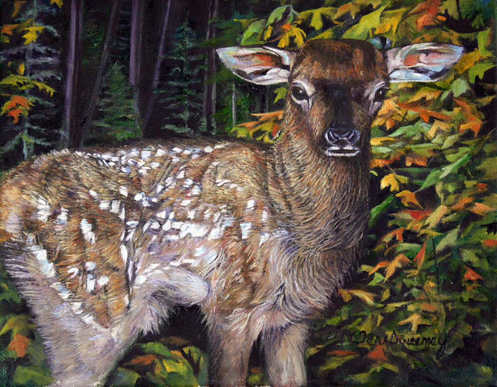 Baby Elk Art | Teri Sweeney Art