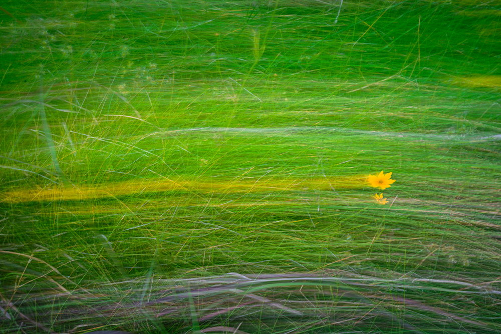 Yellow Streak Photography Art | Anthony B Smith Photography