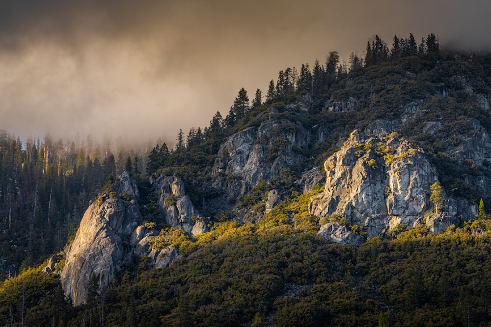 Ghosts Of Forest And Heath Photography Art | Joshua Smith Photo