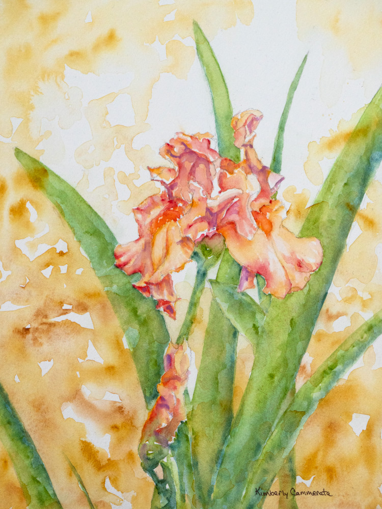 Iris, Firenze Sette Art | Kimberly Cammerata - Watercolors of the Sun: Paintings of Italy