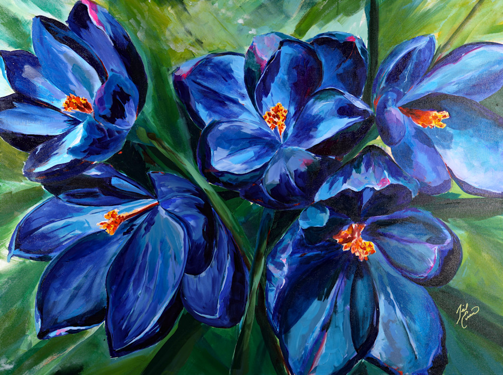 Crocus Flowers Art | Jill Evans art + design
