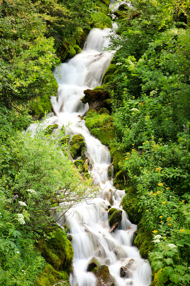 Emerald Cascade Photography Art | Amber Louise Photography