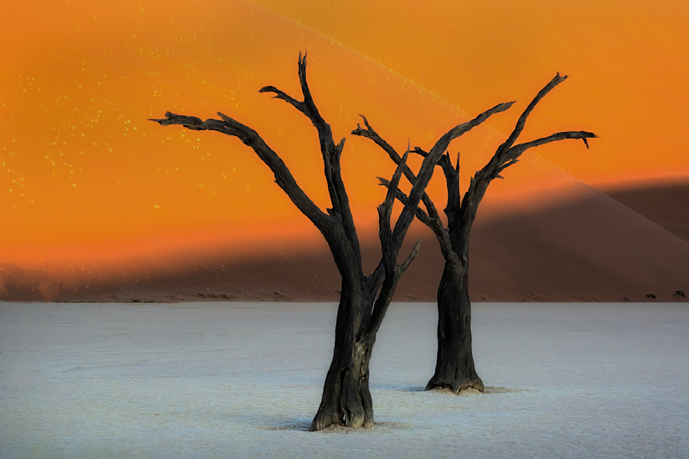 Dead Vlei C Photography Art | Felice Willat Photography