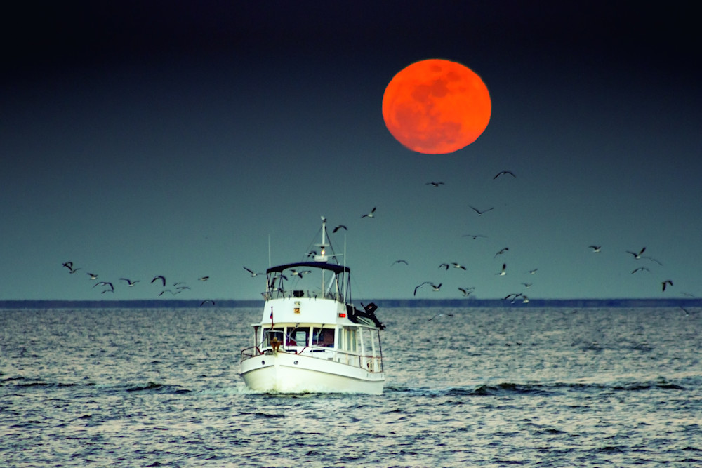 Moonlight Fishing Photography Art | Julie Chapa Photography
