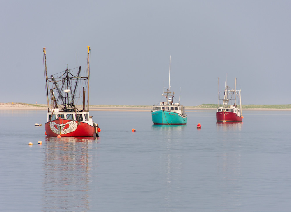 Dorothy Rose And Friends Photography Art | The Colors of Chatham