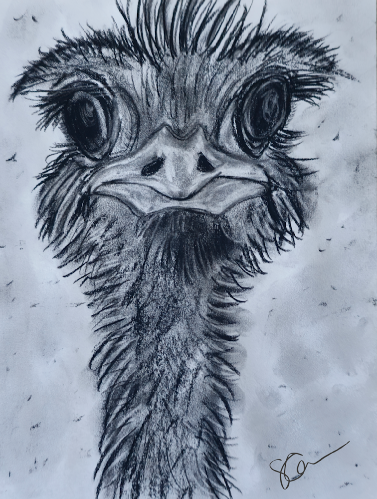  What S Up Art | Sheree Cameron Art