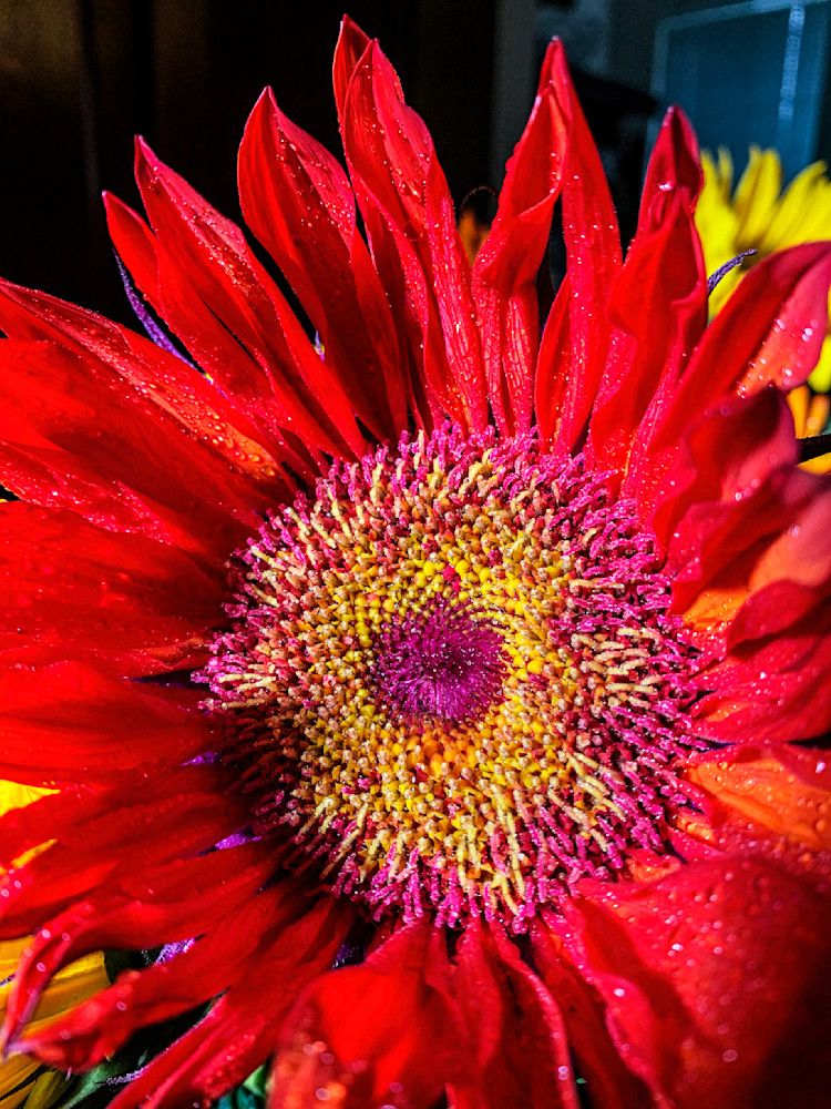 Fired Up Clr Art | Sky + Sparks Luxury Fine Art