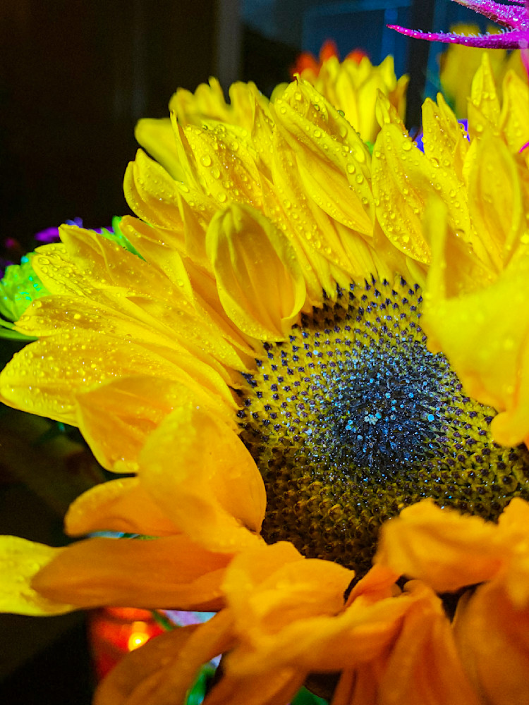 Sun Dew Clr Art | Sky + Sparks Luxury Fine Art