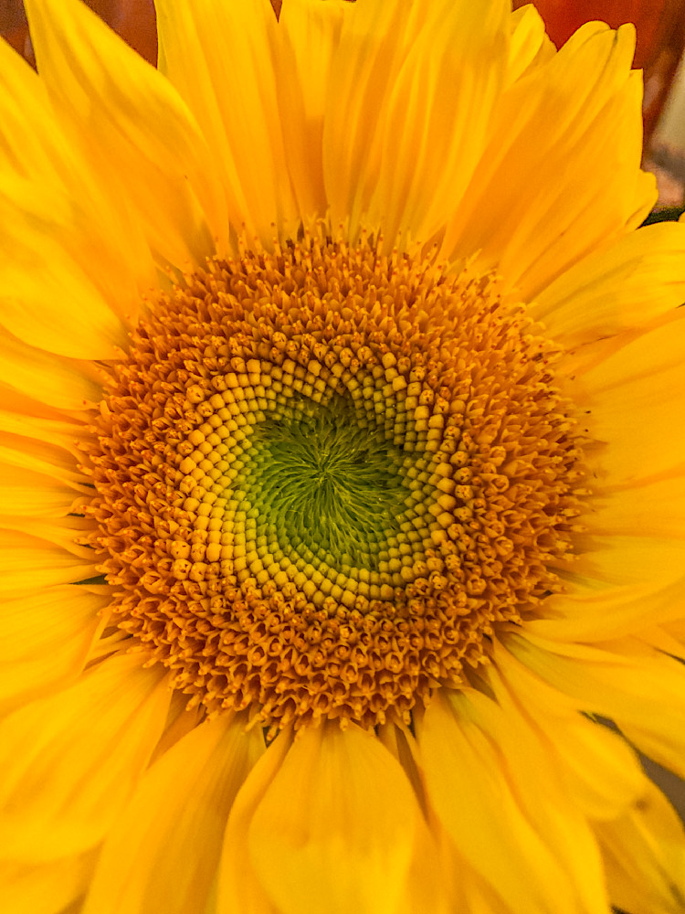 Sun Day Clr Art | Sky + Sparks Luxury Fine Art