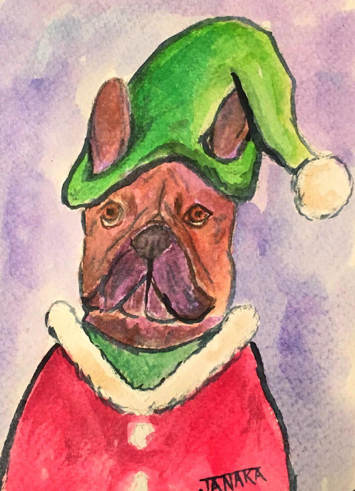 A French Bulldog at Christmas