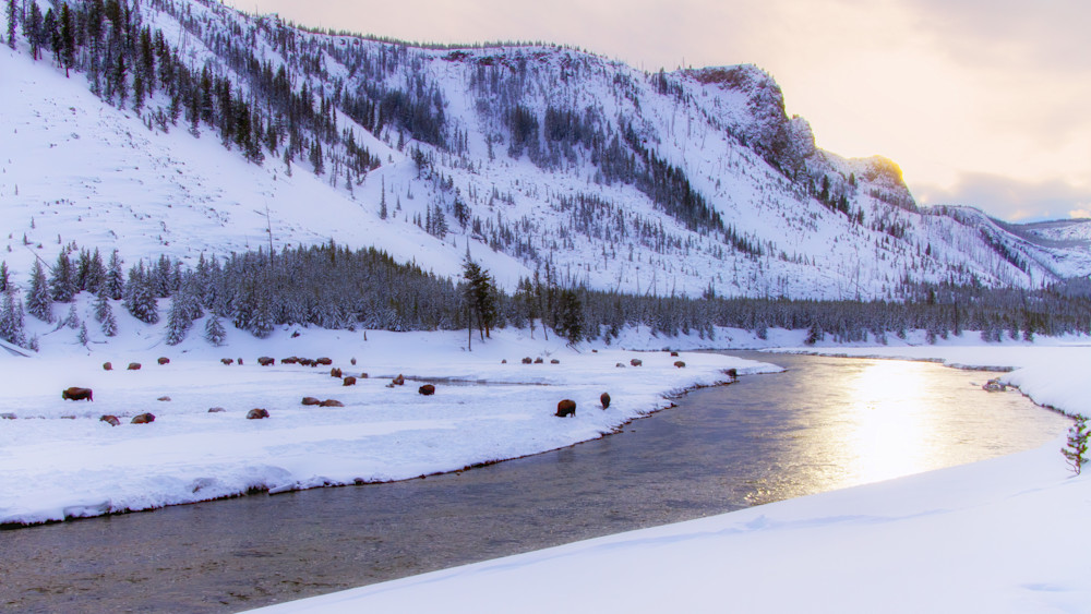 Yellowstone Sunset Pano Photography Art | Julie Chapa Photography