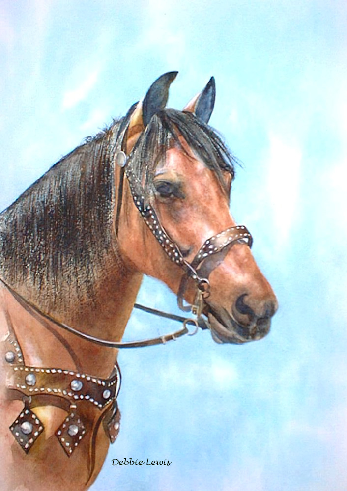 Majestic Horse Art | Debbie Lewis Watercolors